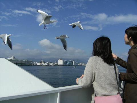 川本カモメ②.JPG