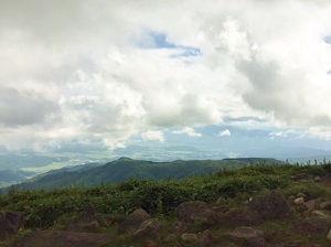 1609073.jpg