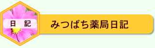 �݂΂���Ǔ��L