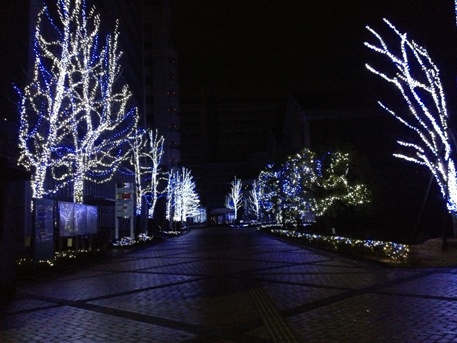 今井0731.JPG