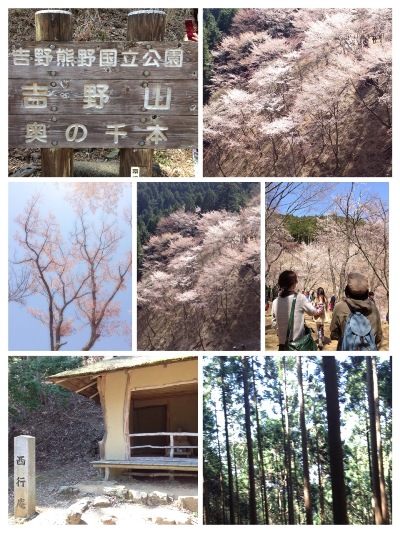 吉野.JPG