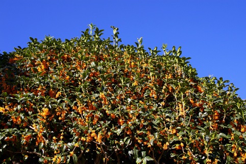 小河1.jpg