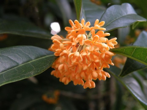 小河2.jpg