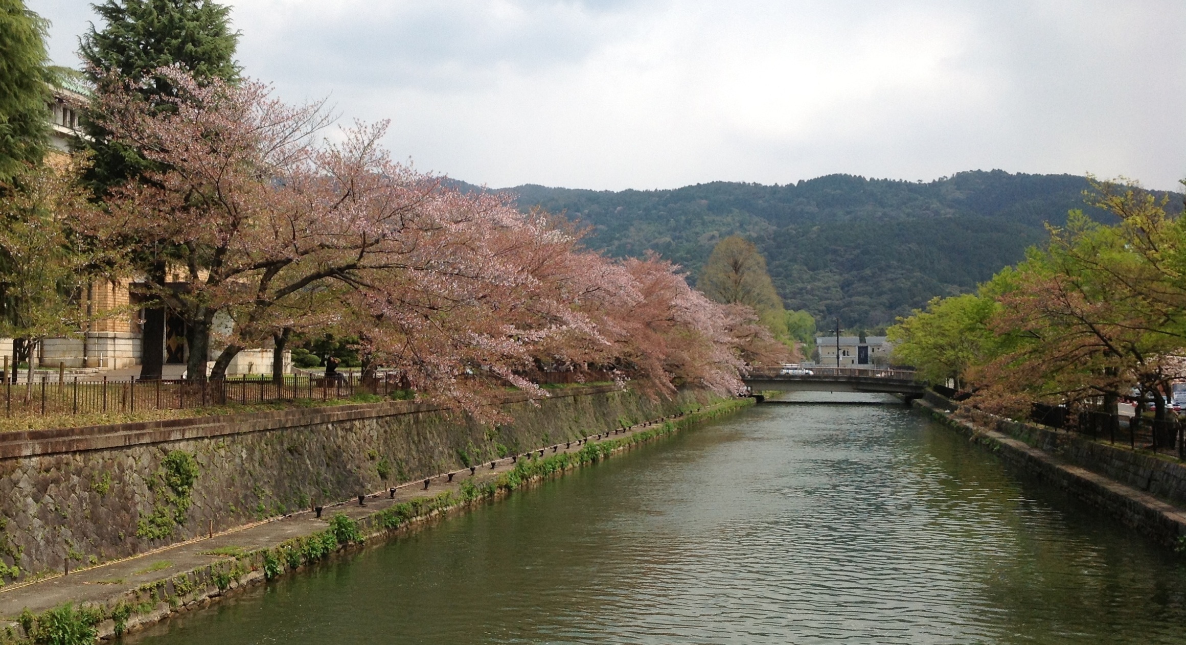 山下画像2.jpg