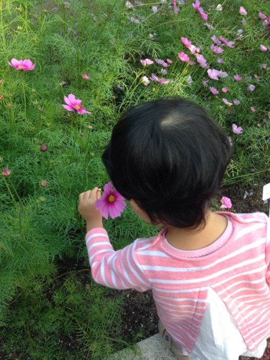 植物園１.jpg
