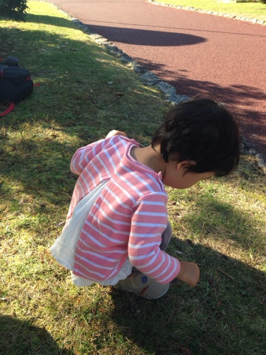 植物園３.jpg