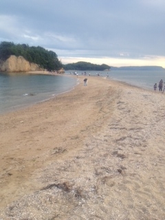 正岡1.JPG