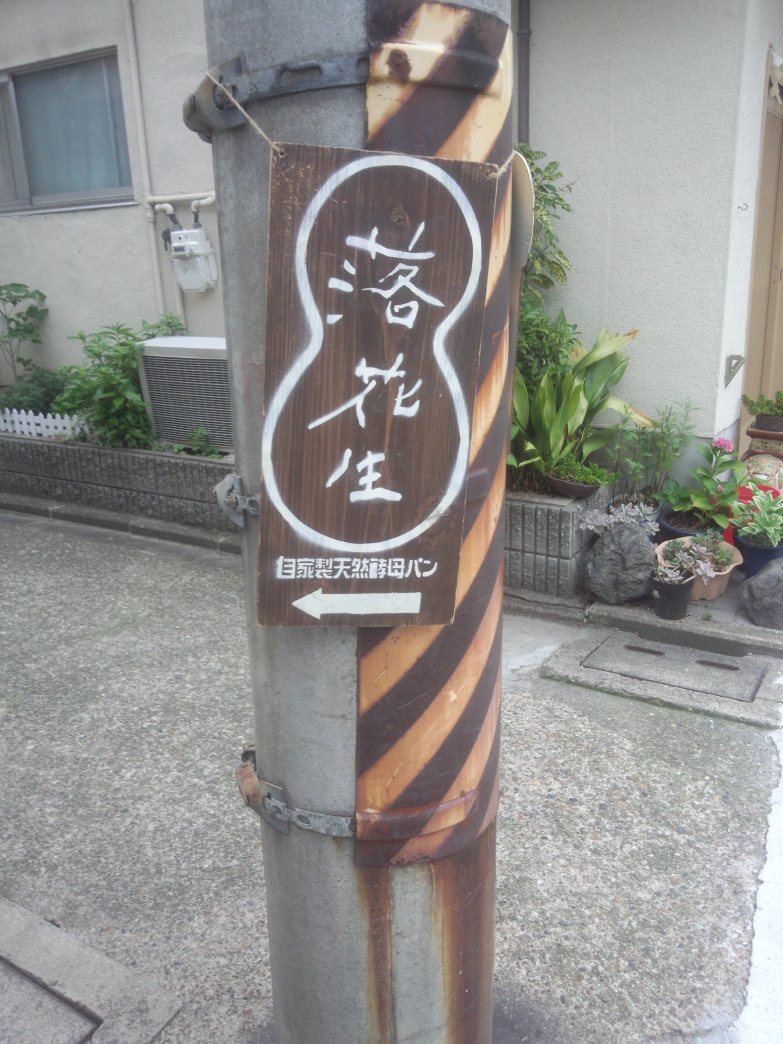 電柱 ラッカセイ2.jpg
