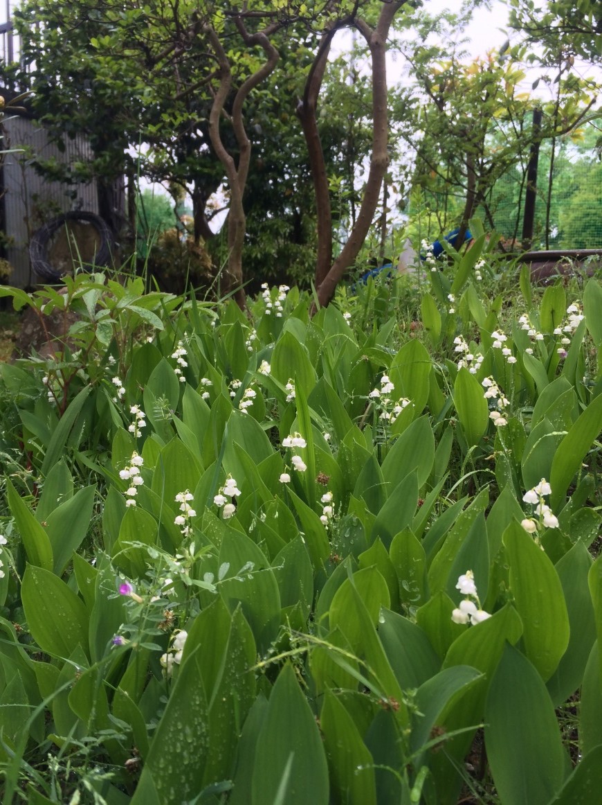 150508.jpg