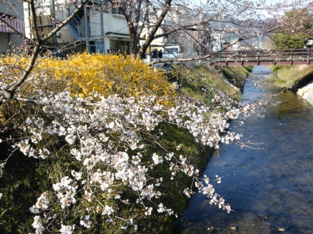 160401.jpg