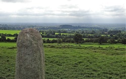 1609282.JPG