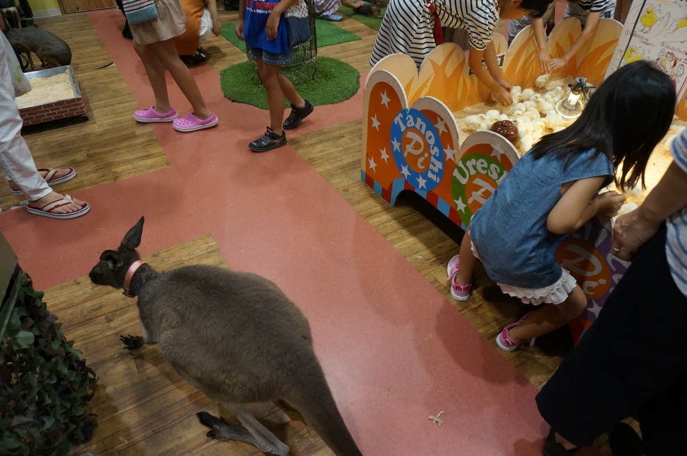 170831-3.jpg