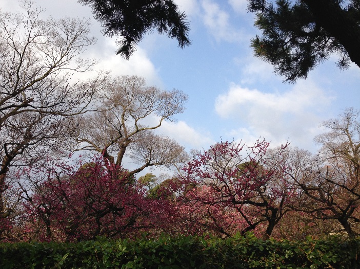 20105030202.jpg