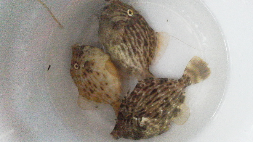 2012092017170002.jpg