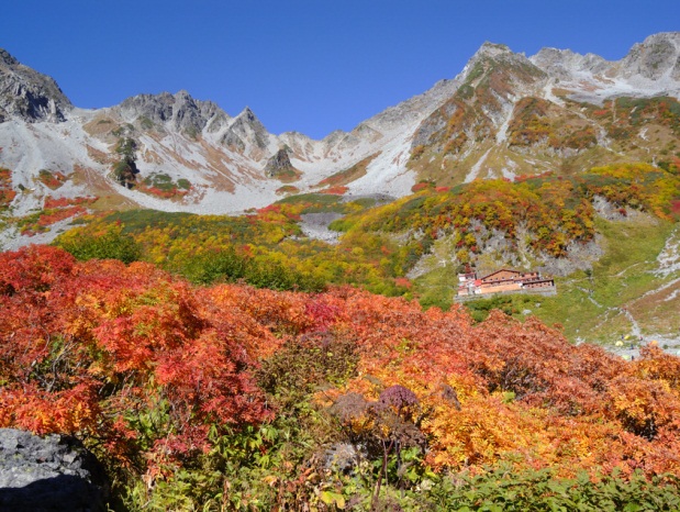 2012101510.jpg