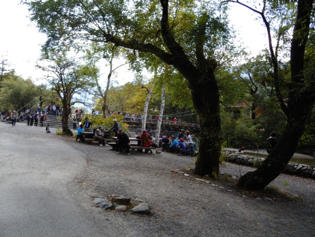 2012101511.jpg