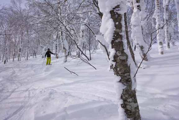 201302153.jpg