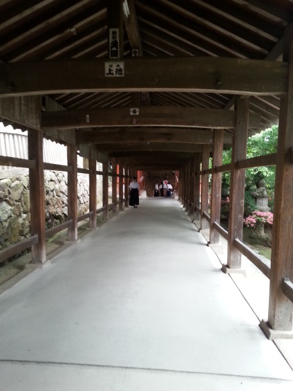2013061402.jpg