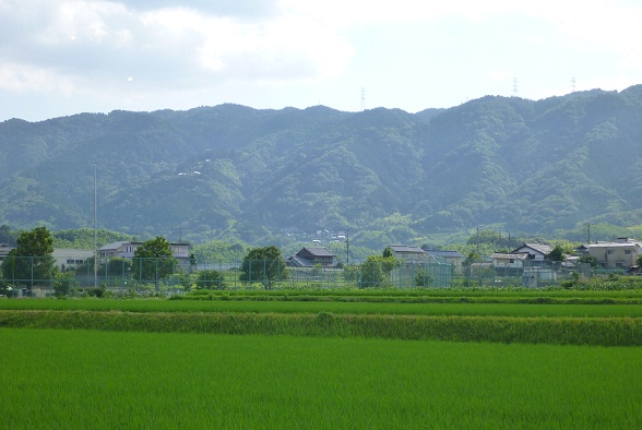 201307191.jpg
