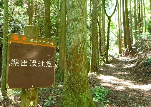 201307194.jpg