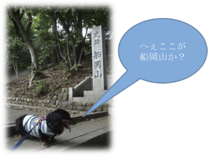 2014052602.jpg