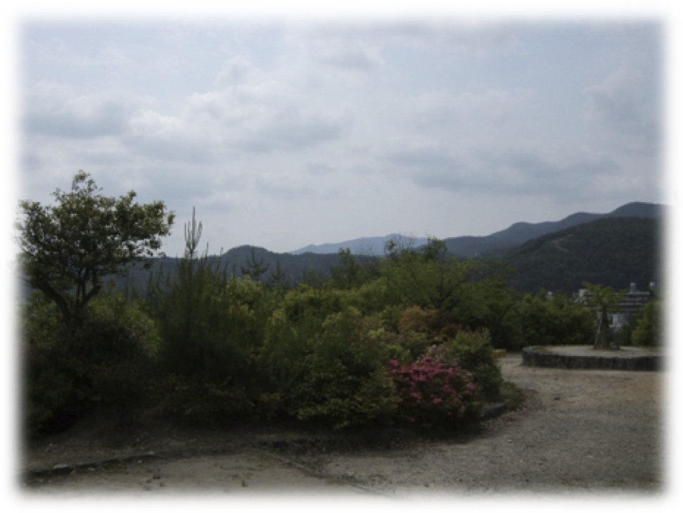 2014052603.jpg