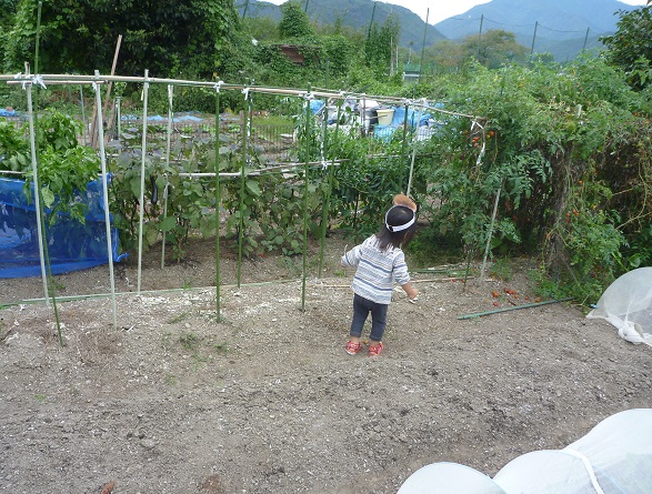20141020201.jpg
