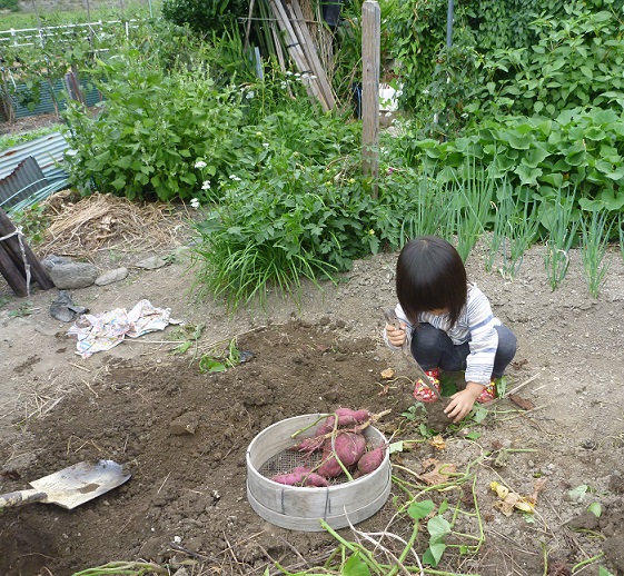 20141020202.jpg