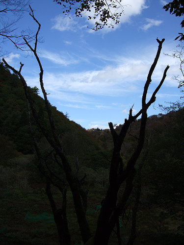 2014111702.png