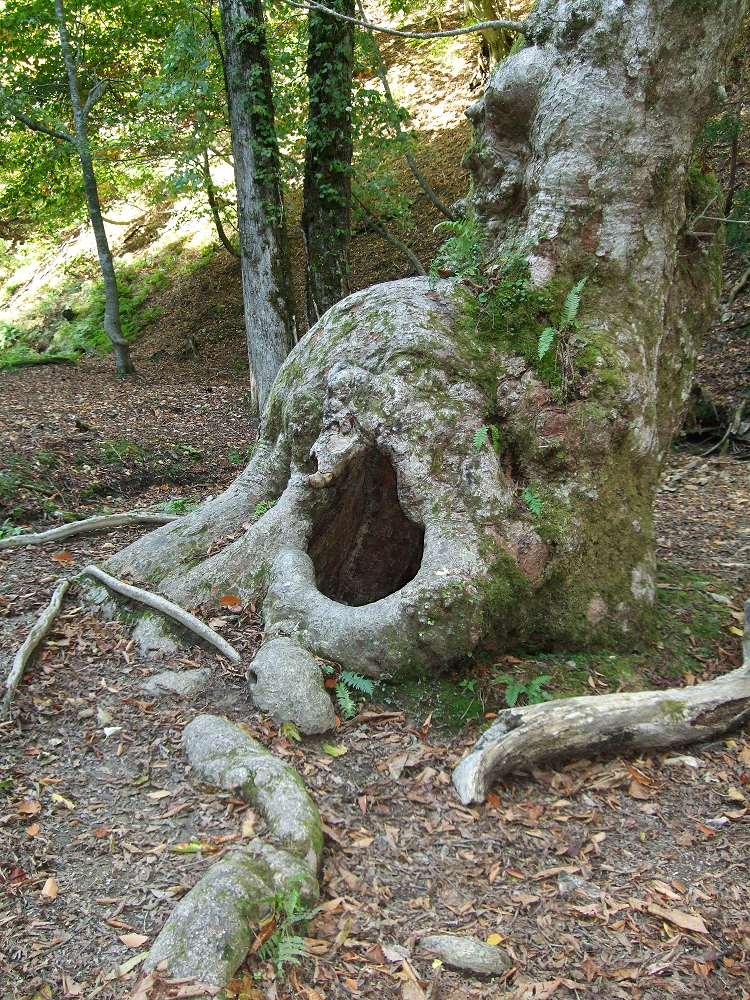 2014111704.png