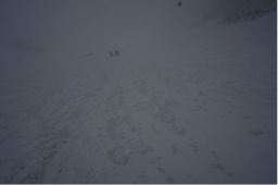 2014151907.jpg