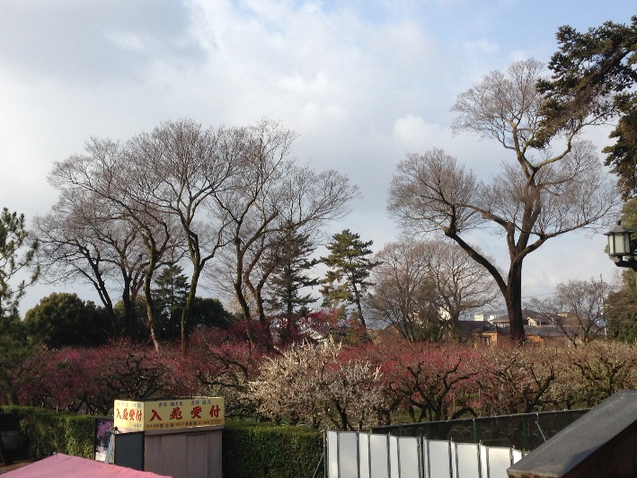 2015030203.jpg