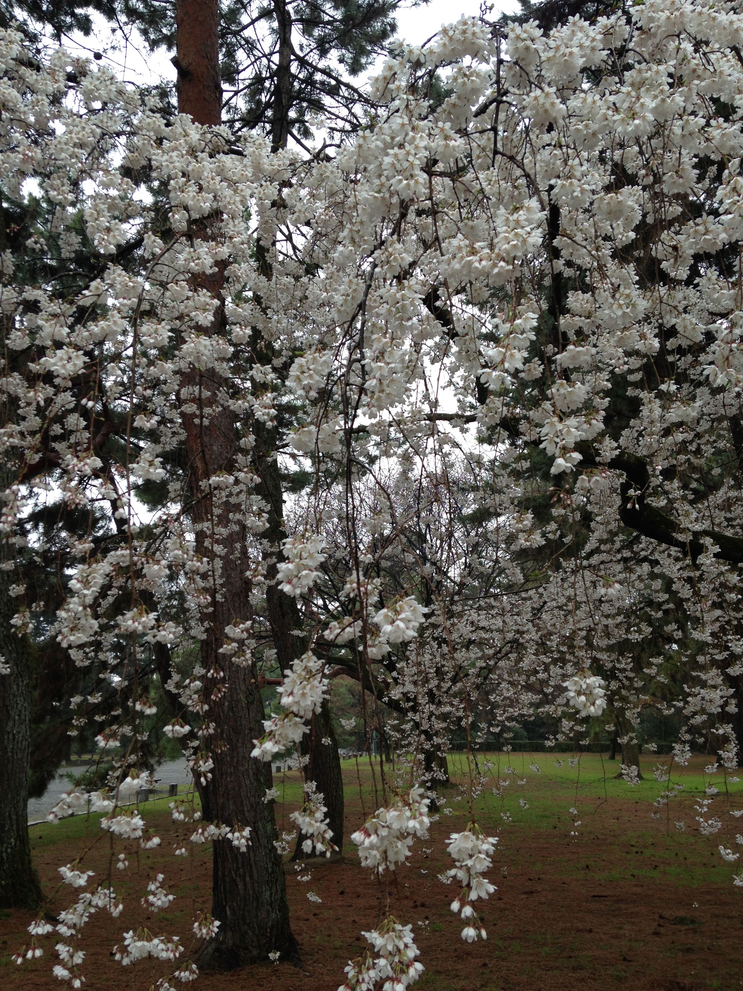 2015041302.jpg