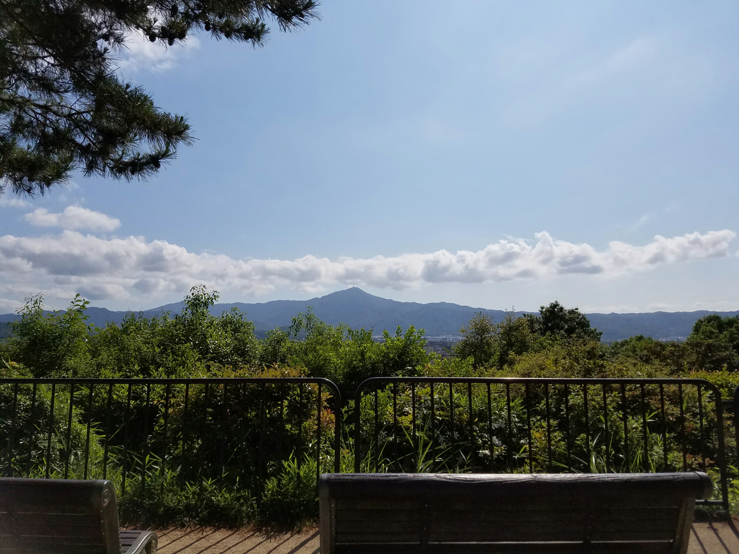 20160610_084448.jpg