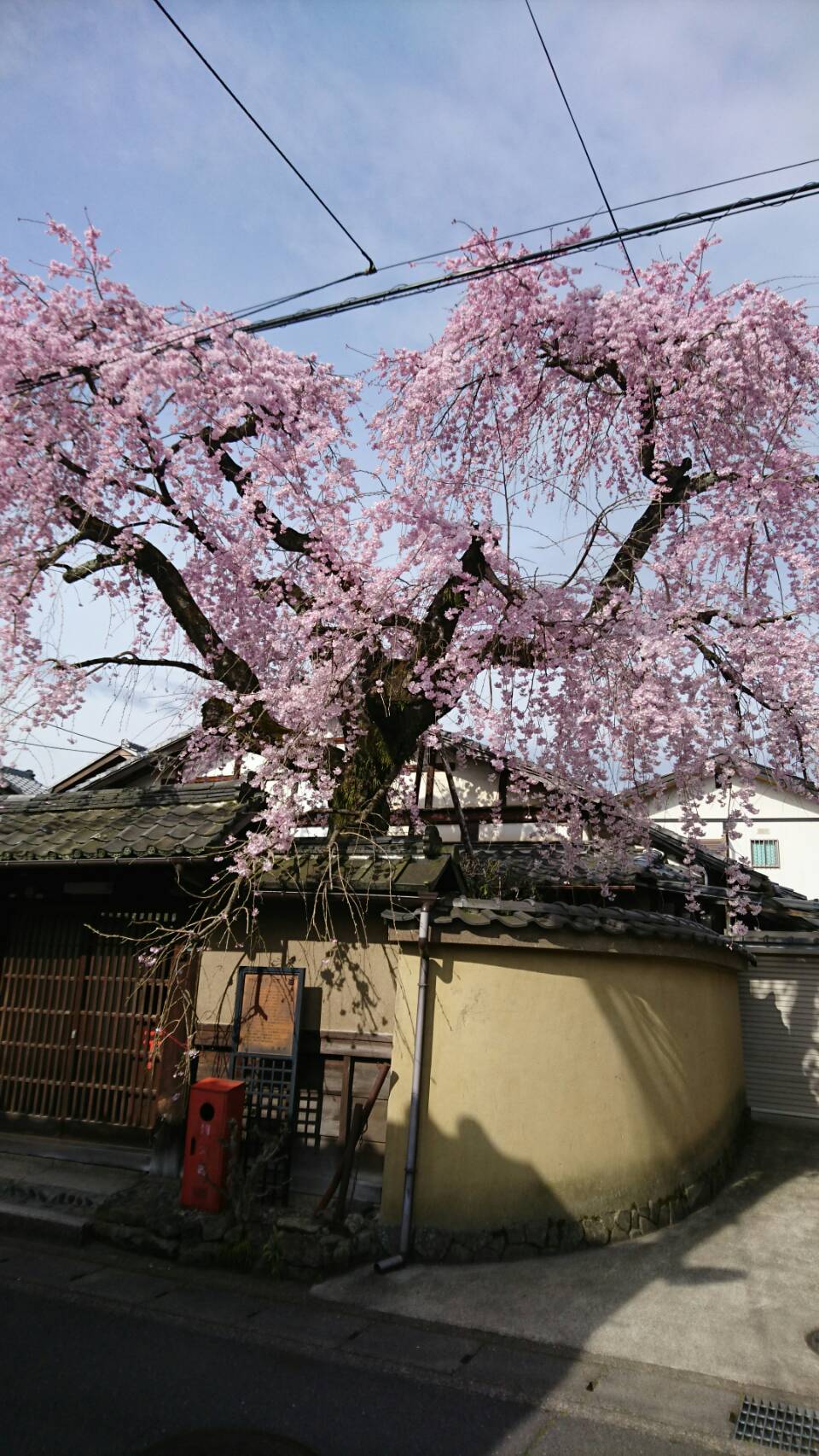 20170411084514.jpg