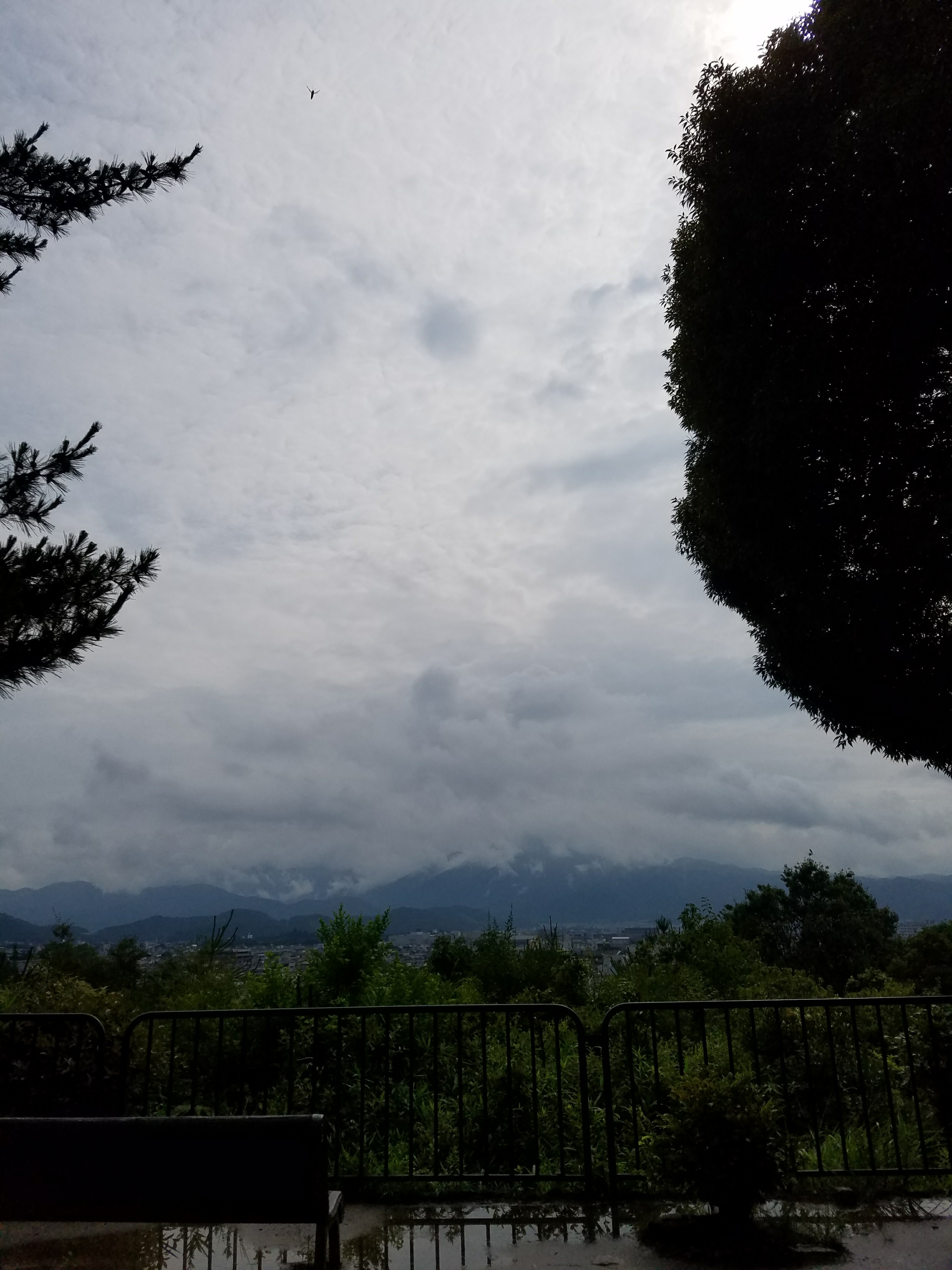 20170710_084221.jpg