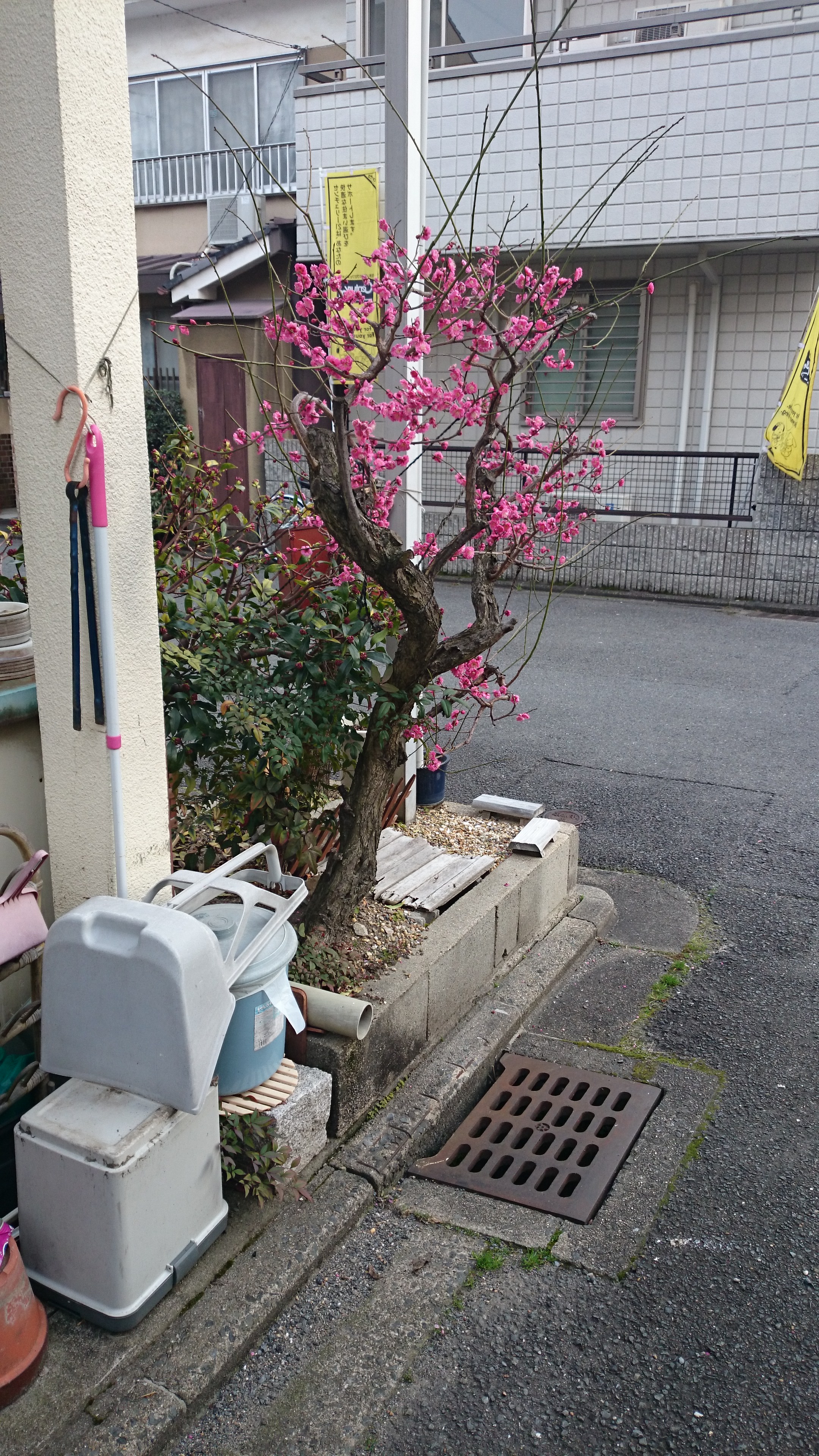 DSC_0104.JPG