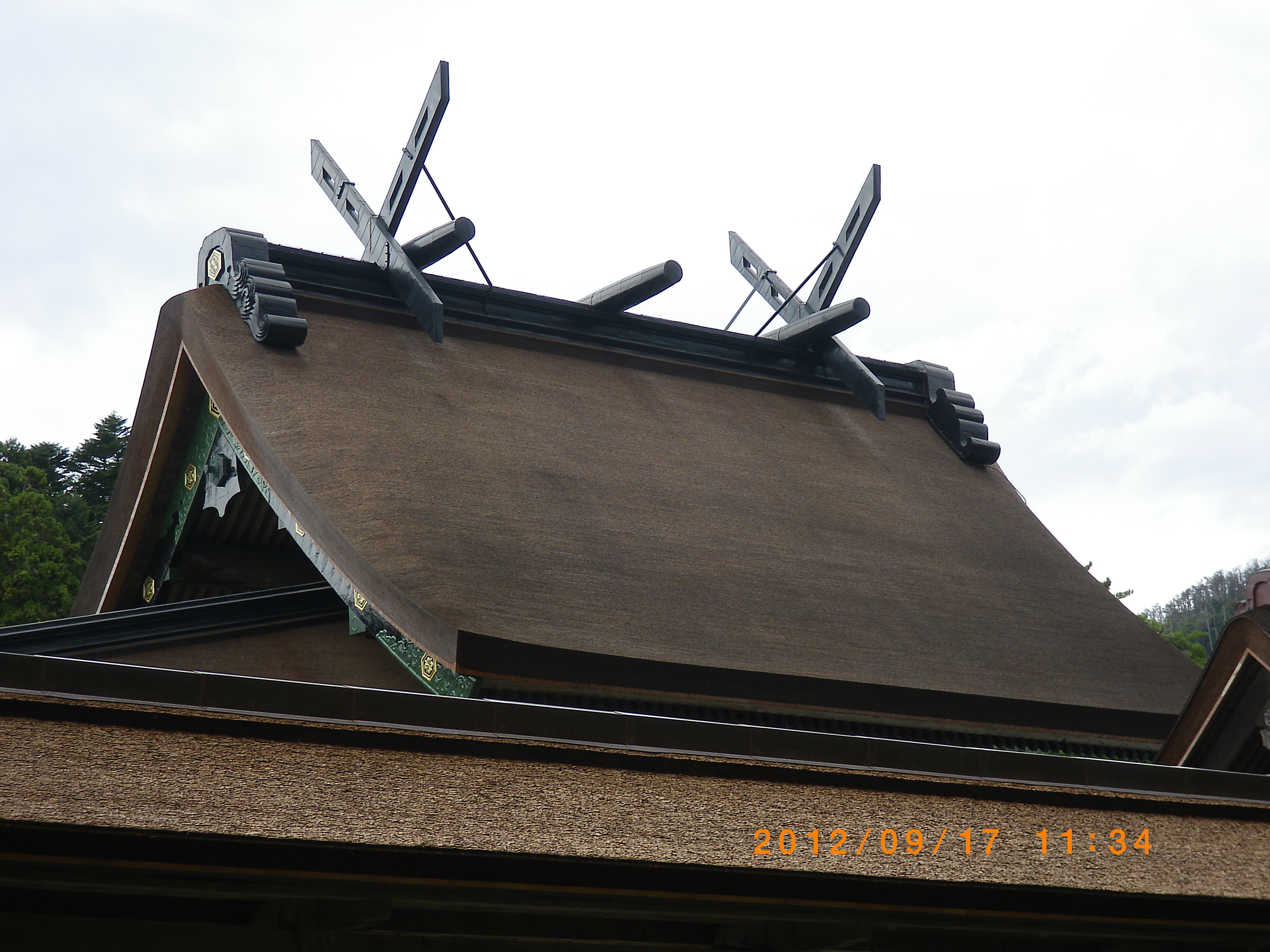 IMGP0181.JPG