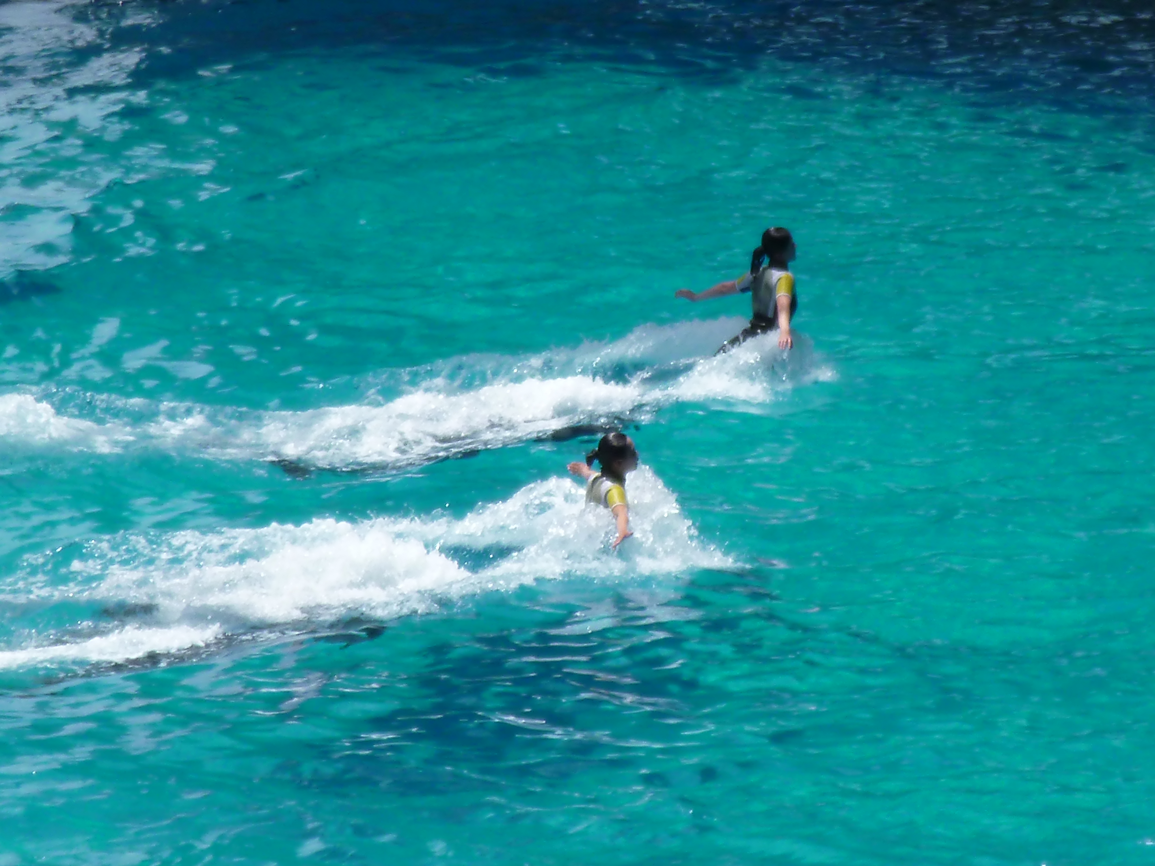 P1000026.JPG
