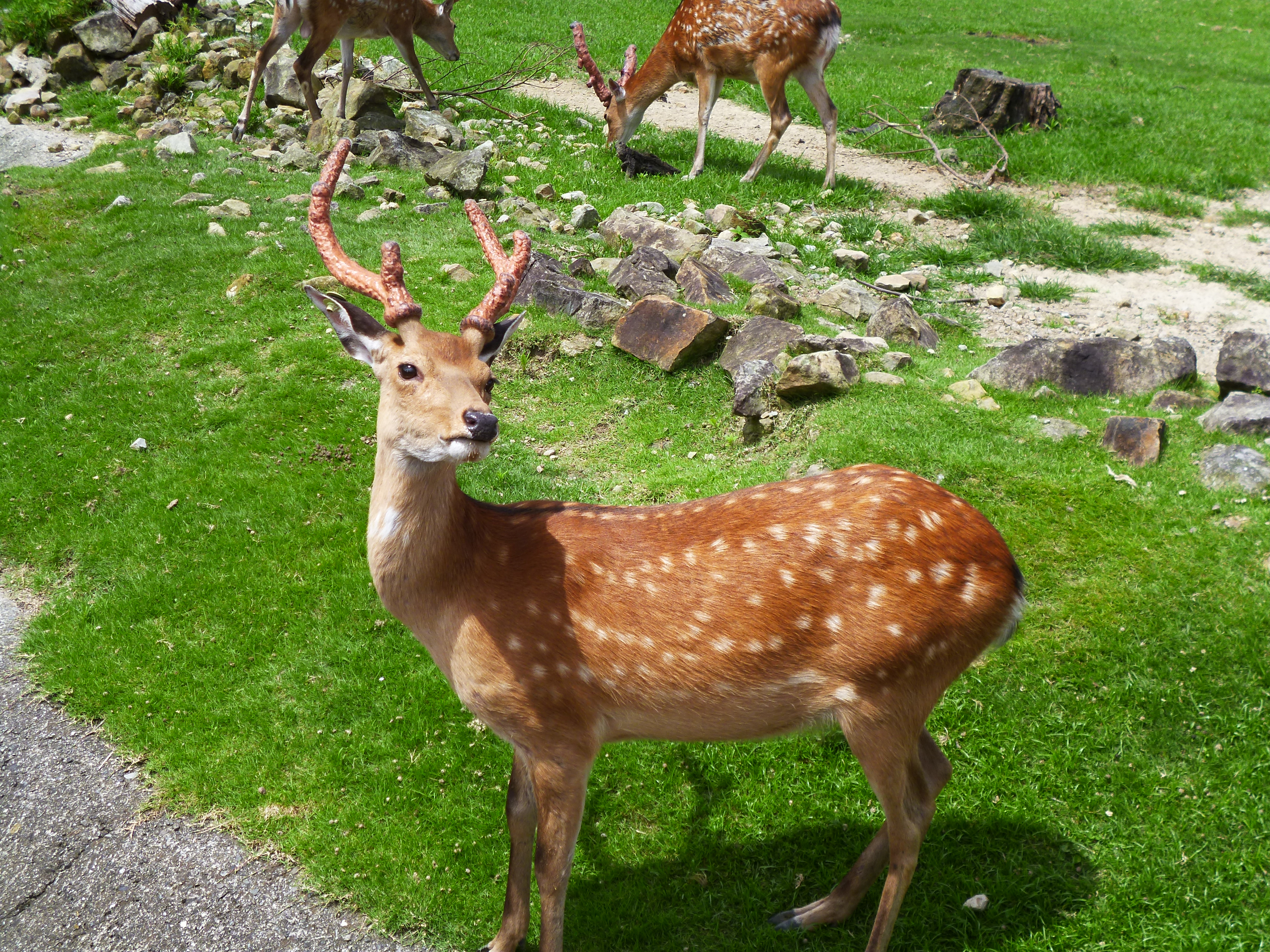 P1000077.JPG