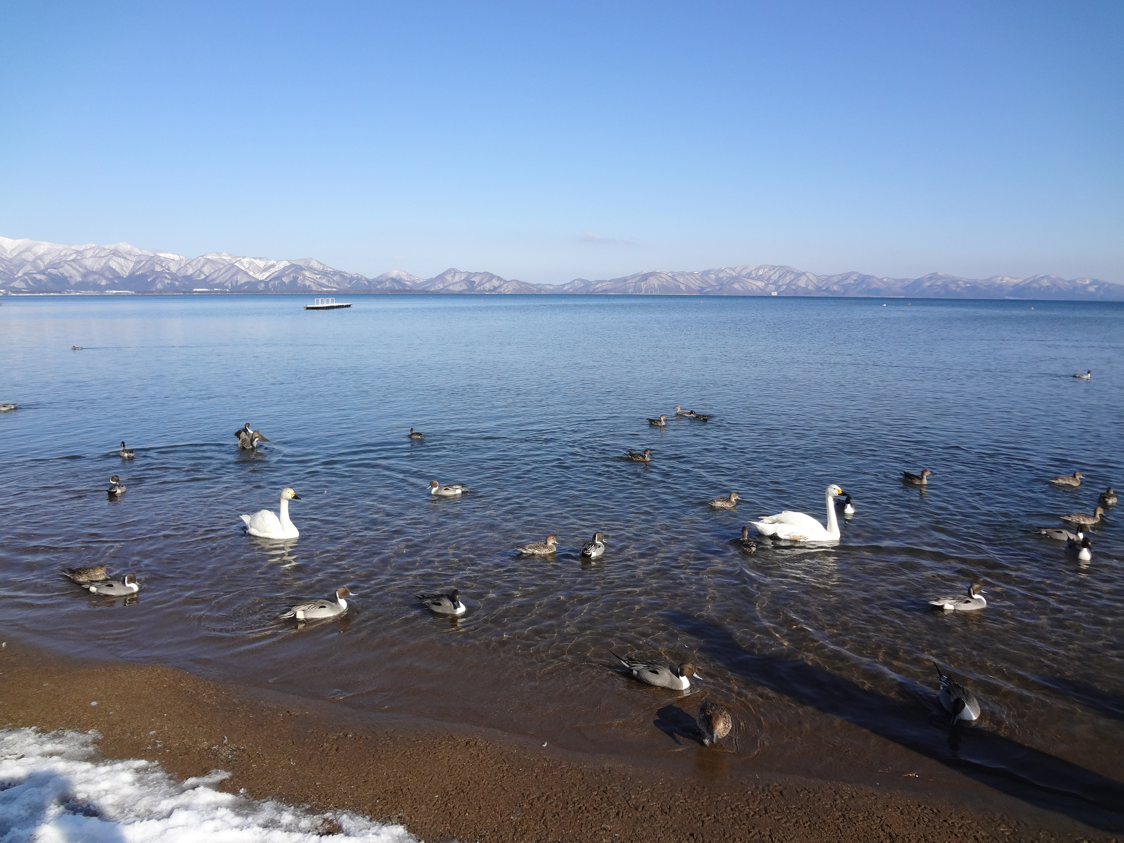 三浦4.jpg