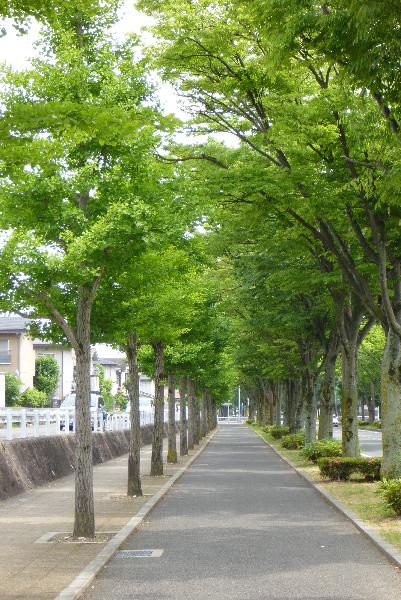 角倉１.jpg