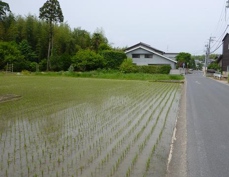 角倉２.jpg